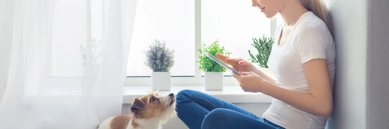 A woman sitting by a window using a tablet, with a dog beside her, representing the modernisation of core insurance platforms for enhanced user experience.