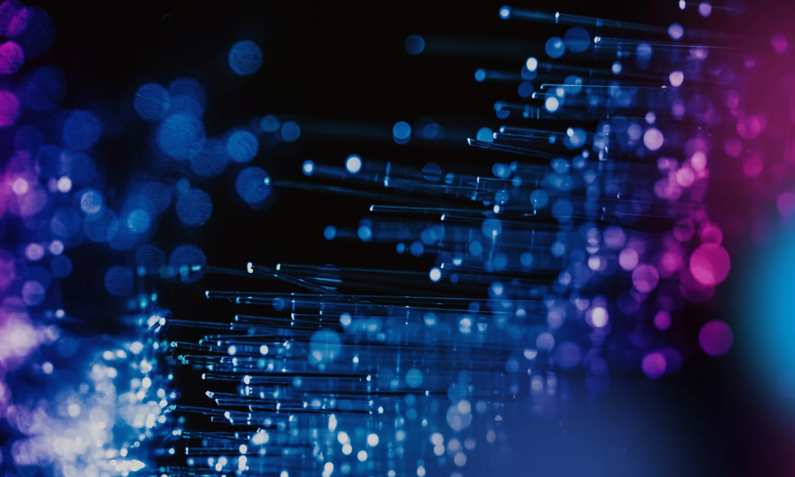 Close-up of fiber optic cables with blue and purple lights, representing advanced technology and high-speed data transmission.