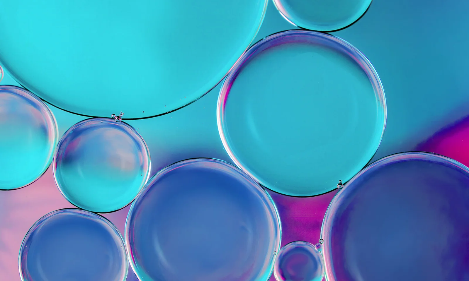 Abstract image of various-sized blue and purple bubbles overlapping each other