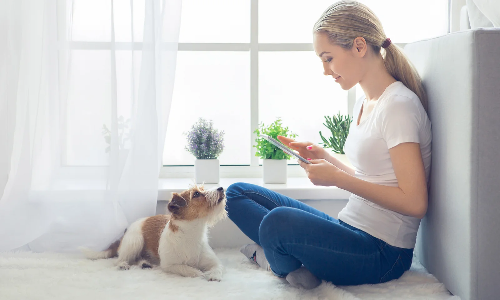 A woman sitting by a window using a tablet, with a dog beside her, representing the modernisation of core insurance platforms for enhanced user experience.