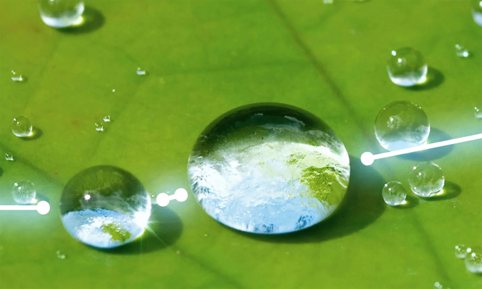 Primer plano de gotas de agua sobre una hoja verde, una de las cuales refleja la Tierra, lo que representa el concepto de bonos verdes y sostenibilidad ambiental.