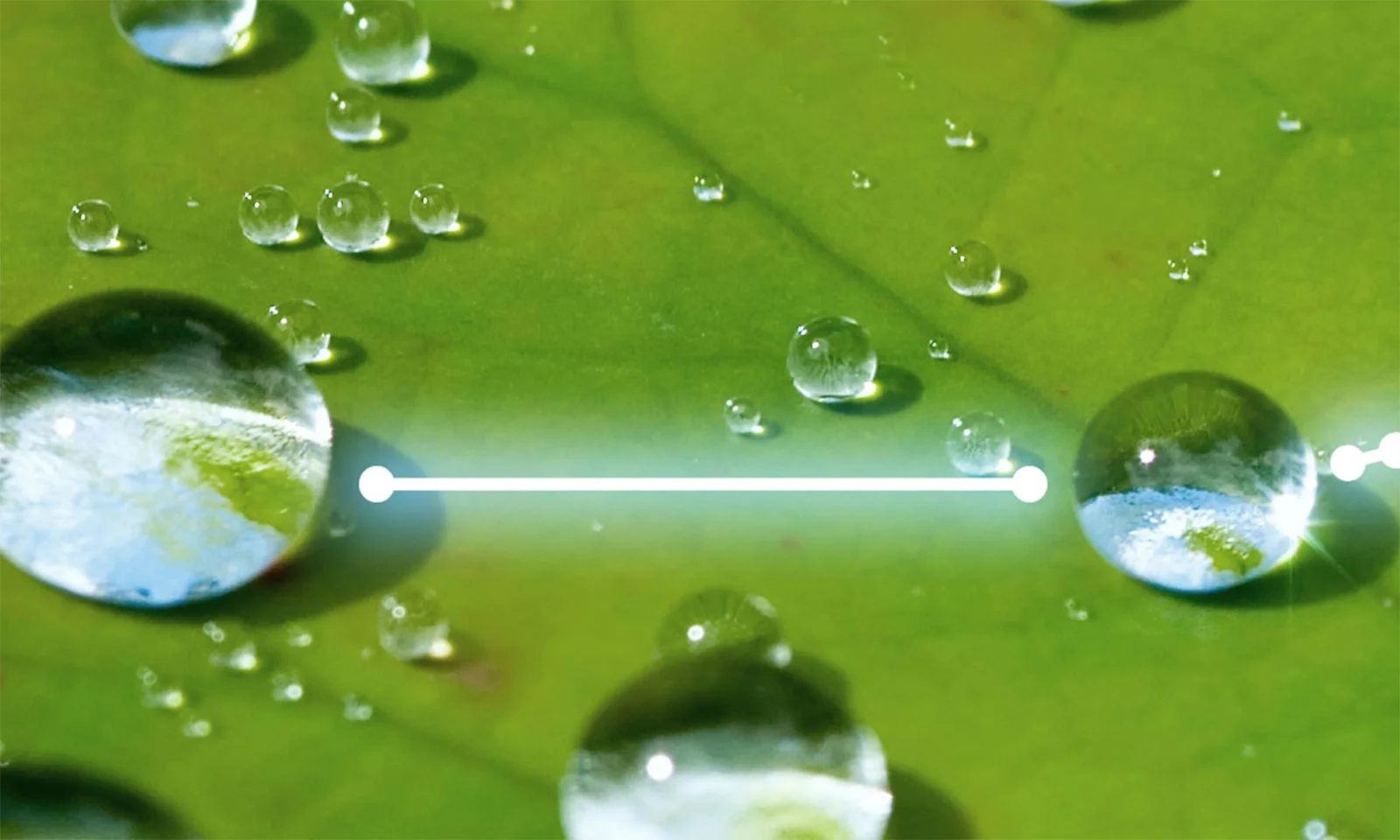 Close-up of water droplets on a green leaf, with droplets reflecting the Earth and connected by a glowing line, symbolizing the third step in the green bonds process.