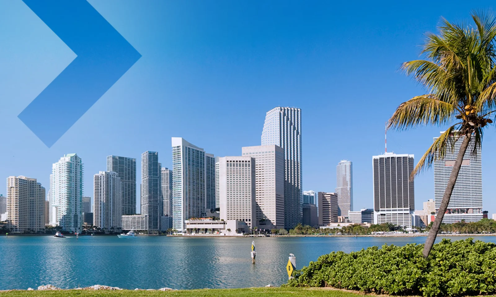 Panoramic view of Miami&#039;s skyline with high-rise buildings and palm trees in the foreground, enhanced with GFT&#039;s signature visual elements.