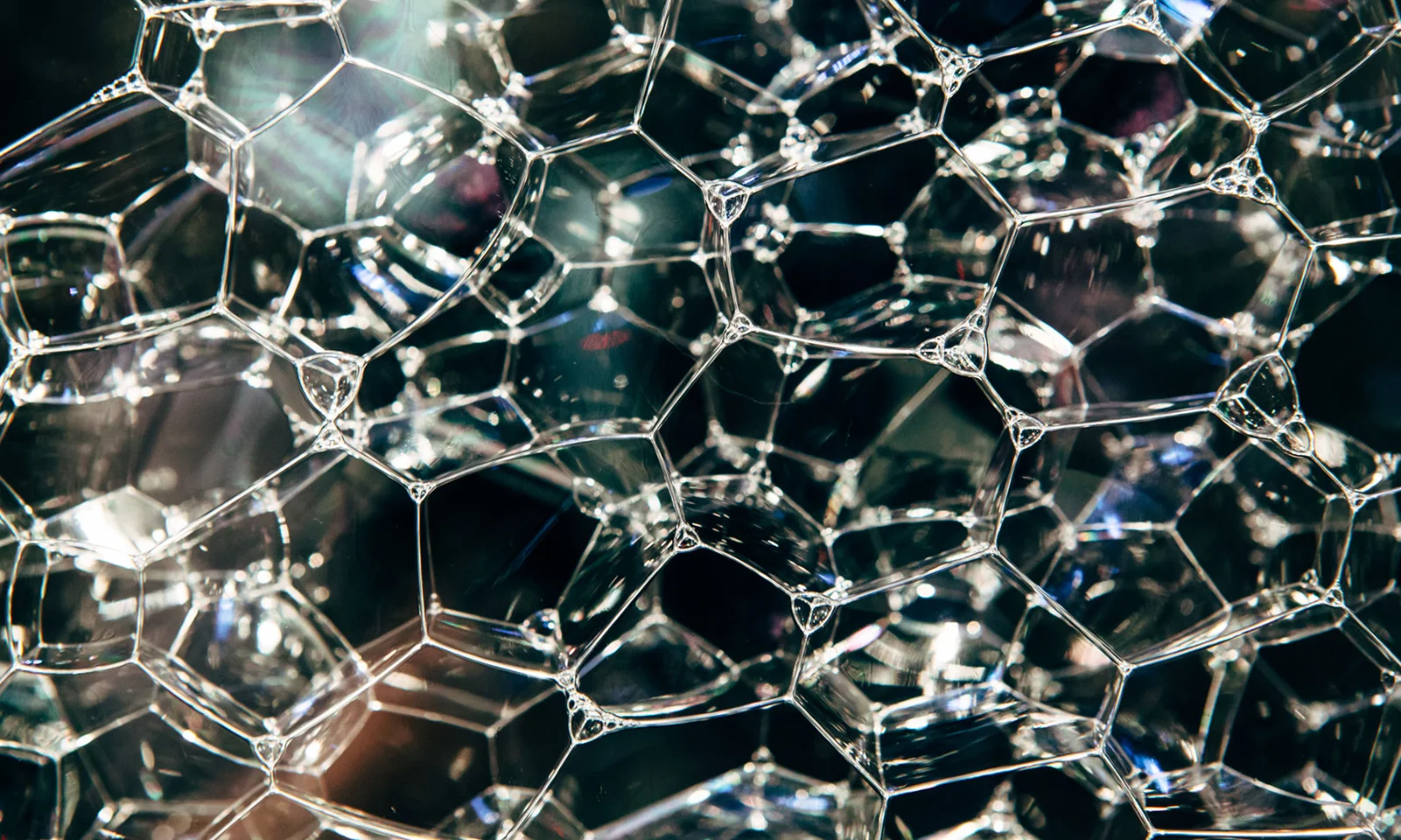 Close-up of interconnected transparent bubbles representing the complex structure of distributed ledger technology.