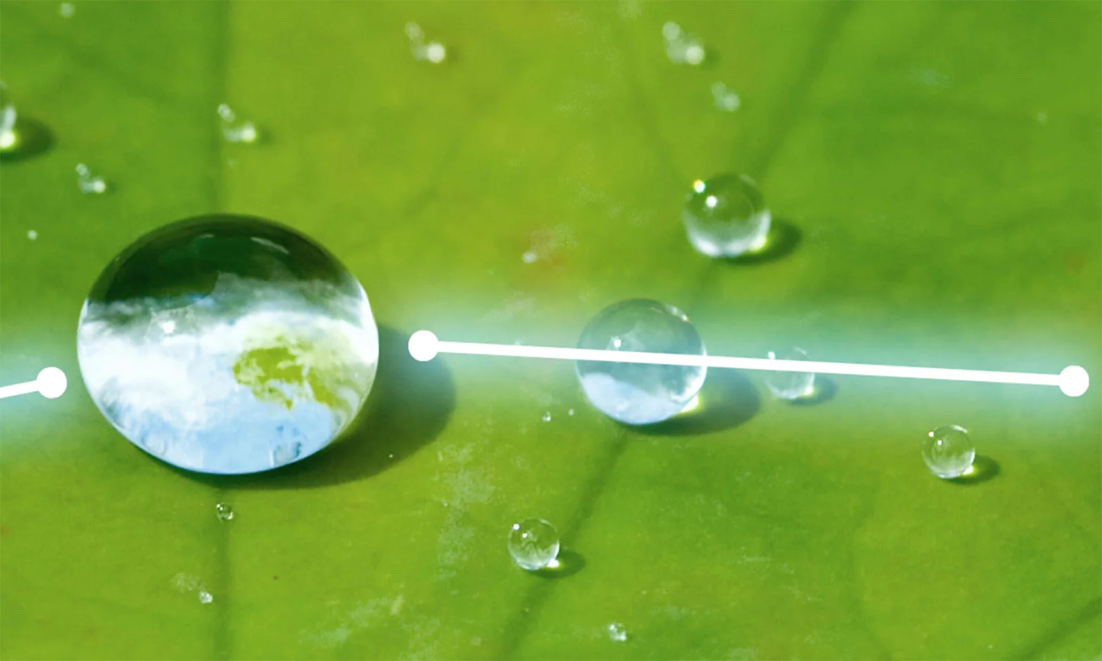 Primer plano de gotas de agua sobre una hoja verde, con una gota que refleja la Tierra y está conectada por una línea brillante, que simboliza el segundo paso en el proceso de enlaces verdes.