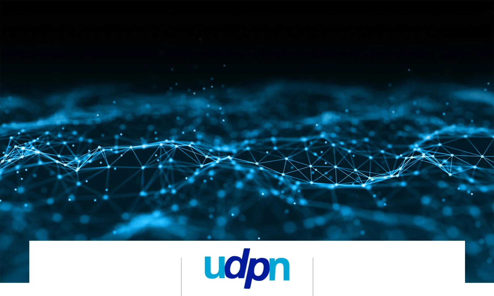 Network visualization with interconnected blue lines on a dark background, accompanied by the UDPN logo.